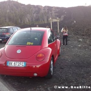 Le vacanze dei Gnubitters!