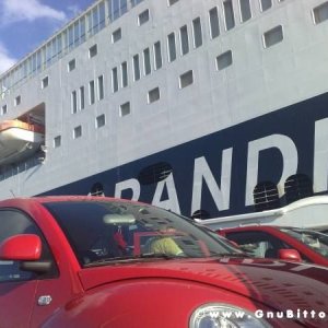 Le vacanze dei Gnubitters!