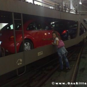 Le vacanze dei Gnubitters!