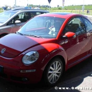 Le vacanze dei Gnubitters!