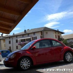 Le vacanze dei Gnubitters!