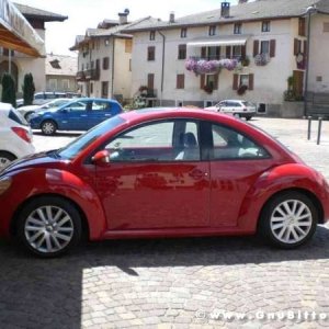 Le vacanze dei Gnubitters!