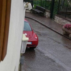 Le vacanze dei Gnubitters!