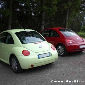 Le vacanze dei Gnubitters!