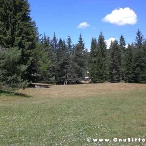 Le vacanze dei Gnubitters!