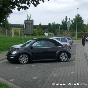 Le vacanze dei Gnubitters!