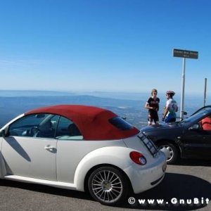 Le vacanze dei Gnubitters!