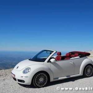 Le vacanze dei Gnubitters!