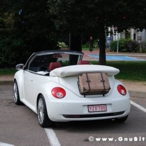 Le vacanze dei Gnubitters!