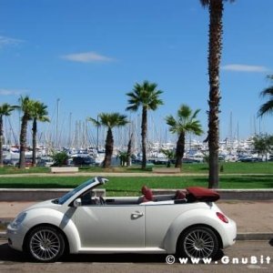 Le vacanze dei Gnubitters!