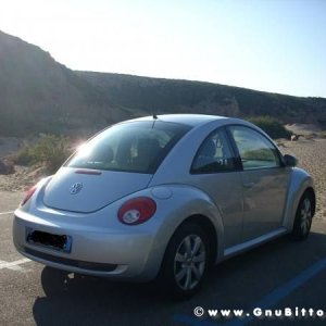 Le vacanze dei Gnubitters!