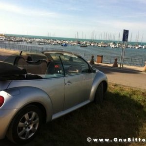 Le vacanze dei Gnubitters!