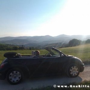 Le vacanze dei Gnubitters!