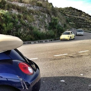 Avvistamenti Beetle Casuali