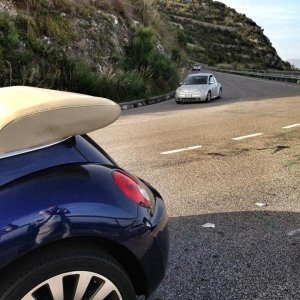 Avvistamenti Beetle Casuali