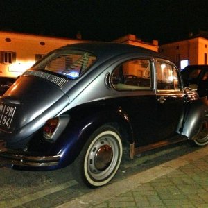 Avvistamenti Beetle Casuali