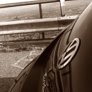 ADESIVI, LOGO ED ALTRO