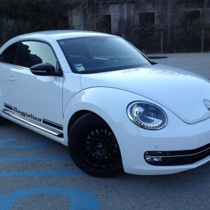 Questo ? il mio!!!!!!!