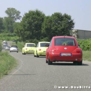 17-07-2005 -  Piacenza