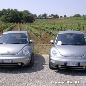 17-07-2005 -  Piacenza