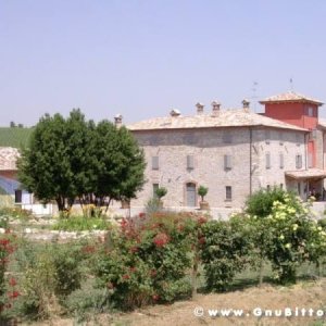 17-07-2005 -  Piacenza