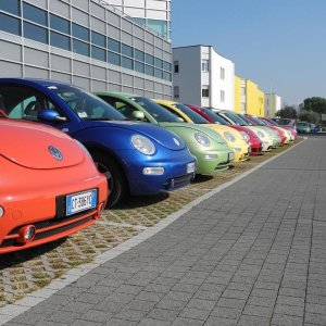 30? Raduno Nazionale a Borghetto