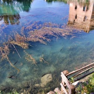 30? Raduno Nazionale - Borghetto (VR) - Ph Ivan87