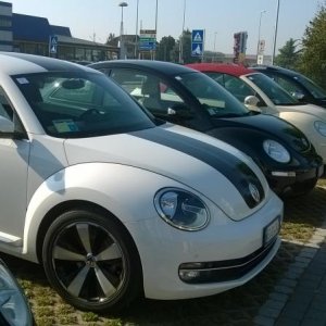 Raduno d'Autunno 2014 a Borghetto (VR)