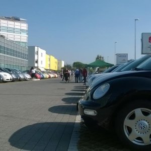 Raduno d'Autunno 2014 a Borghetto (VR)