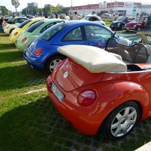 Raduno d'Autunno 2014 - Borghetto (VR)