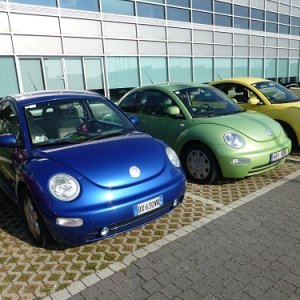 Raduno d'Autunno 2014 - Borghetto (VR)