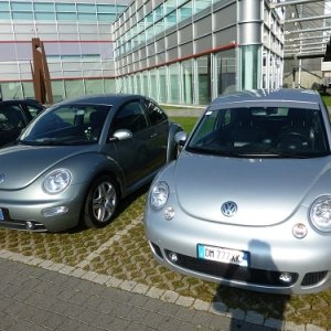 Raduno d'Autunno 2014 - Borghetto (VR)