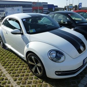 Raduno d'Autunno 2014 - Borghetto (VR)