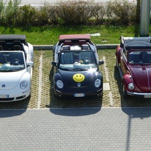 Raduno d'Autunno 2014 - Borghetto (VR)