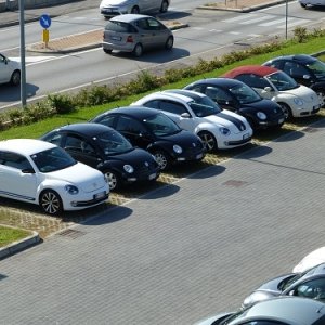 Raduno d'Autunno 2014 - Borghetto (VR)