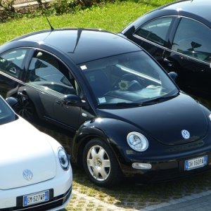 Raduno d'Autunno 2014 - Borghetto (VR)