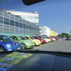 Raduno d'Autunno 2014 - Borghetto (VR)