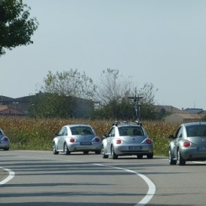 Raduno d'Autunno 2014 - Borghetto (VR)