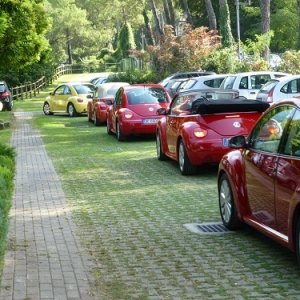 Raduno d'Autunno 2014 - Borghetto (VR)