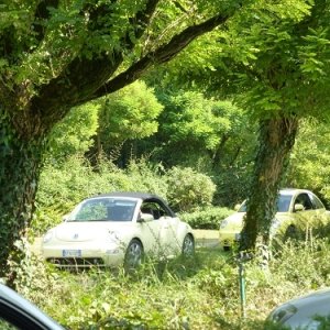 Raduno d'Autunno 2014 - Borghetto (VR)