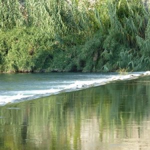 Raduno d'Autunno 2014 - Borghetto (VR)