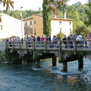 Raduno d'Autunno 2014 - Borghetto (VR)