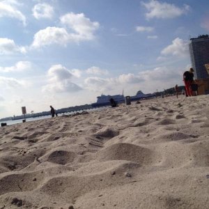 10' beetle sunshinetour 2k14