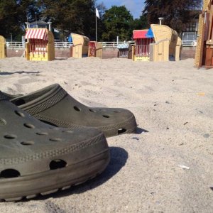 10' beetle sunshinetour 2k14