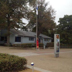 10' beetle sunshinetour 2k14