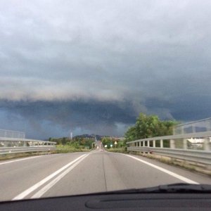 10' beetle sunshinetour 2k14