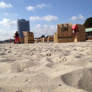 10' beetle sunshinetour 2k14