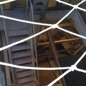 10' beetle sunshinetour 2k14