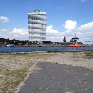 10' beetle sunshinetour 2k14