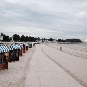 10' beetle sunshinetour 2k14